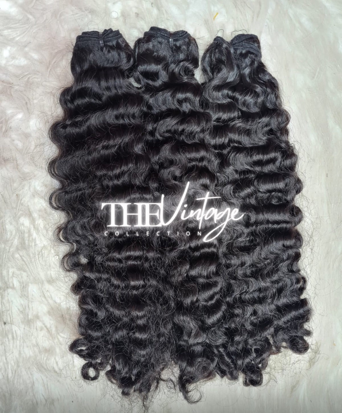 Burmese Curly Bundle Deals
